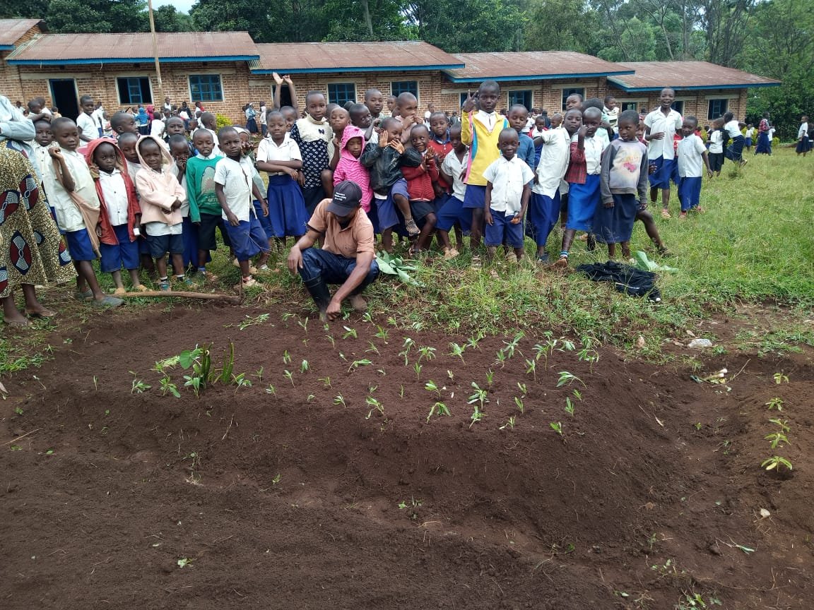 Contrat de Subvention pour la mise en place des Jardins scolaires dans les écoles primaires de Kalehe au Sud-Kivu en territoire de Kalehe