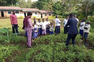 Contrat de Subvention pour la mise en place des Jardins scolaires dans les écoles primaires de Kalehe au Sud-Kivu en territoire de Kalehe – WhatsApp Image 2026-07-29 at 22.38.21