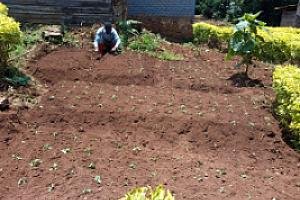Contrat de Subvention pour la mise en place des Jardins scolaires dans les écoles primaires de Kalehe au Sud-Kivu en territoire de Kalehe – WhatsApp Image 2026-07-29 at 22.38.05