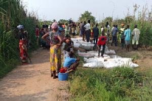 Projet post récolte, commercialisation et renforcement de capacités des 160 OP au Tanganyika dans le territoire de Kabalo – Traitement des bourbiers et plantation des haies vives sur les tronçons réhabilités à Kabalo et Nyunzu