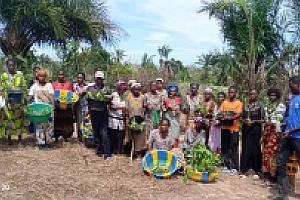 Projet post récolte, commercialisation et renforcement des capacités des ménages agricoles au Sud Ubangi dans les territoires de Gemena et de Libenge – Image5